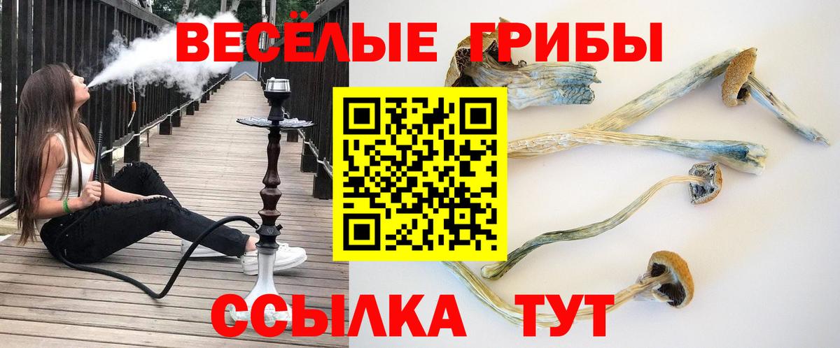 купить наркотик  Вход с VPN  Галлюциногенные грибы Cubensis  Уссурийск  Галлюциногенные грибы MAGIC MUSHROOMS 